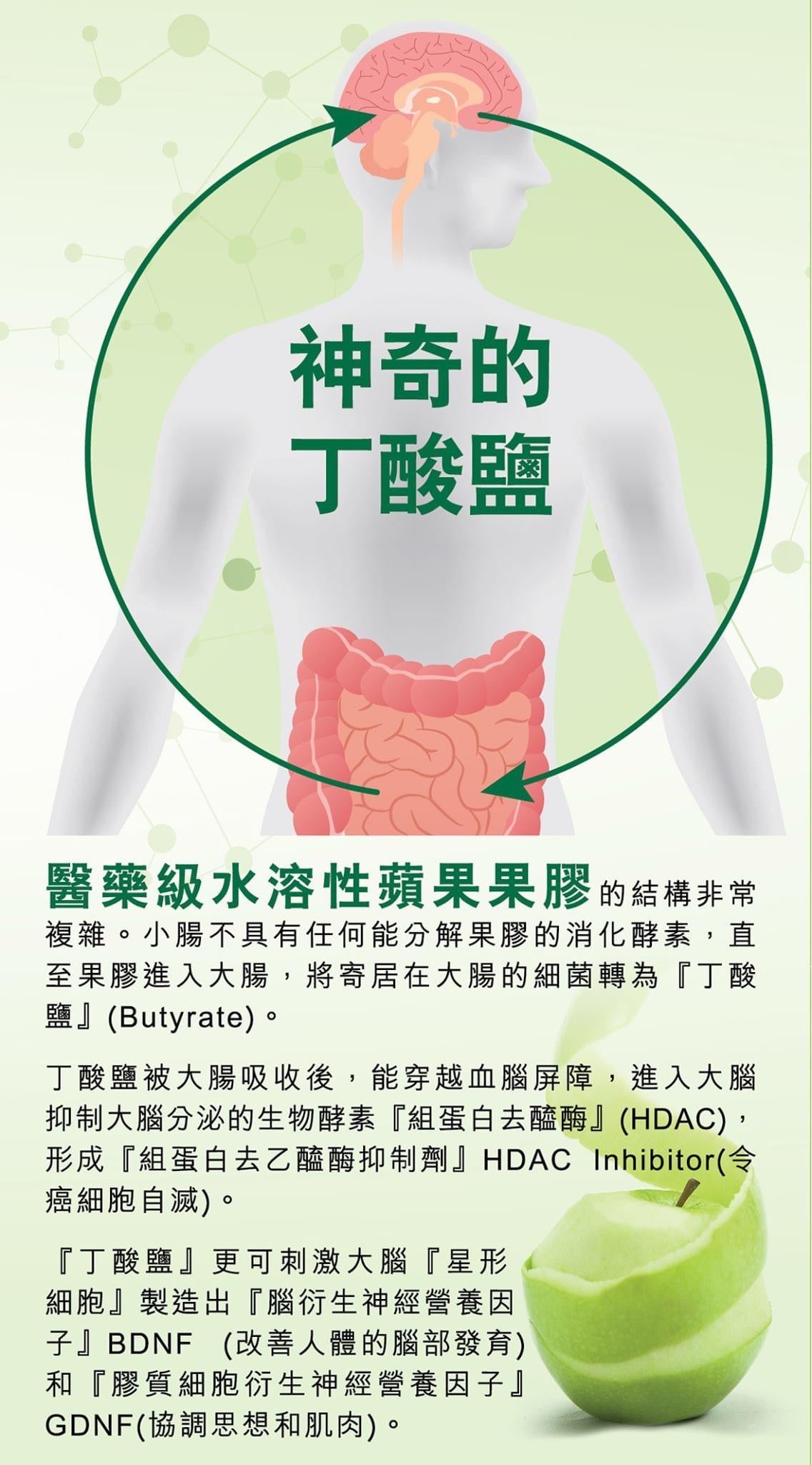 ProPectin 柏沛樂蘋果果膠 Apple Pectin 排毒